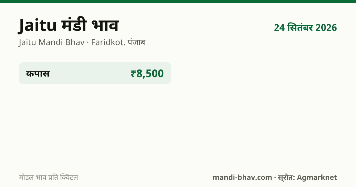 Jaitu मंडी भाव 24 सितंबर 2026: फसलवार मोडल रेट प्रति क्विंटल