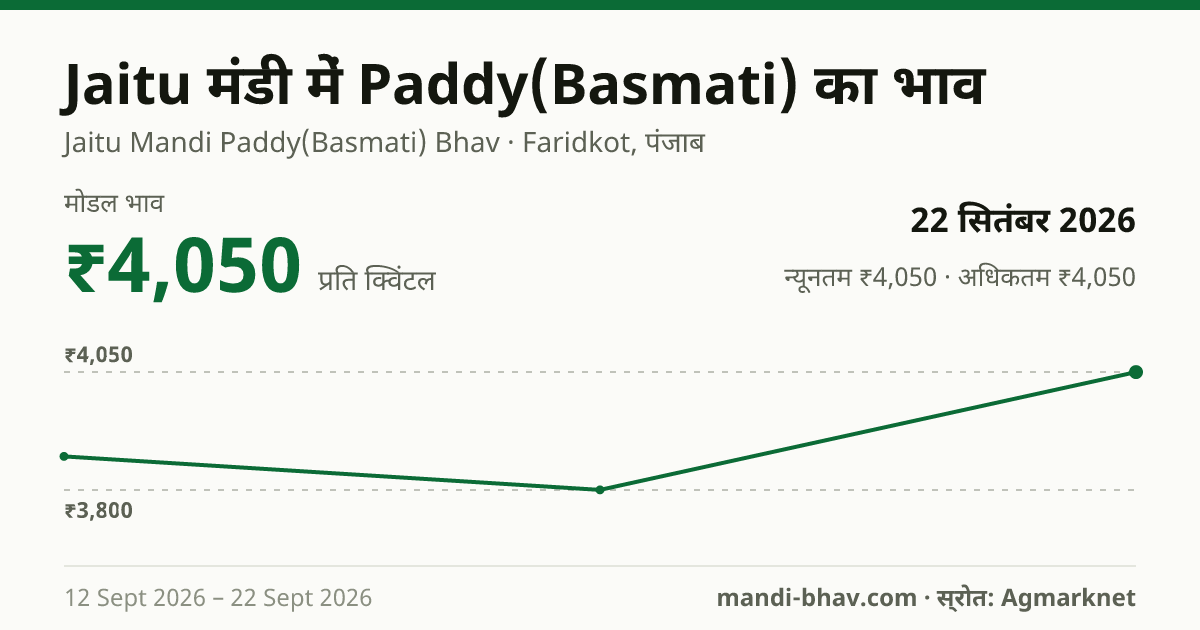 Jaitu मंडी में Paddy(Basmati) का भाव 22 सितंबर 2026: मोडल ₹4,050 प्रति क्विंटल, भाव के रुझान का चार्ट