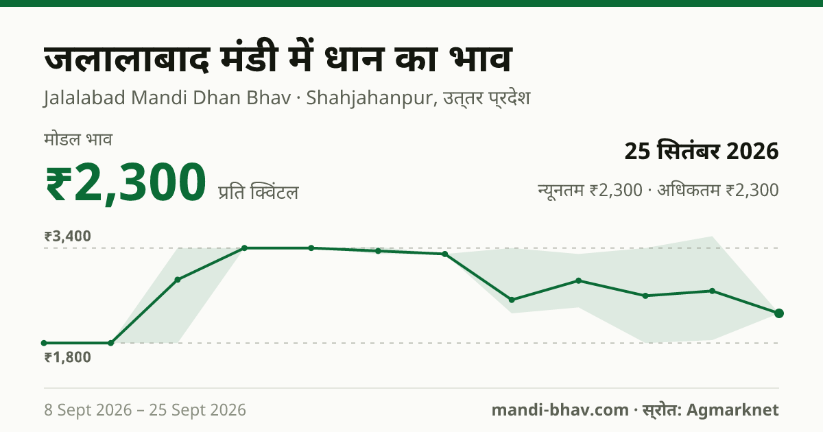 जलालाबाद मंडी में धान का भाव 25 सितंबर 2026: मोडल ₹2,300 प्रति क्विंटल, भाव के रुझान का चार्ट