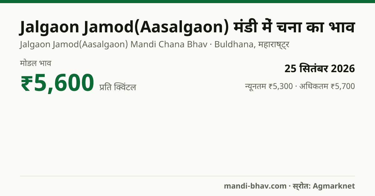 Jalgaon Jamod(Aasalgaon) मंडी में चना का भाव 25 सितंबर 2026: मोडल ₹5,600 प्रति क्विंटल, भाव के रुझान का चार्ट