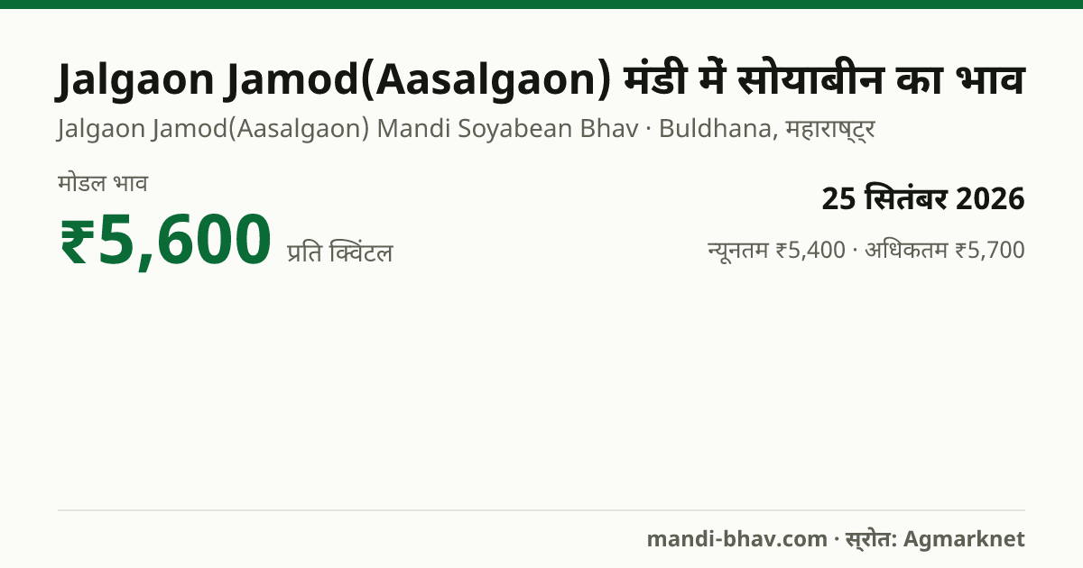 Jalgaon Jamod(Aasalgaon) मंडी में सोयाबीन का भाव 25 सितंबर 2026: मोडल ₹5,600 प्रति क्विंटल, भाव के रुझान का चार्ट