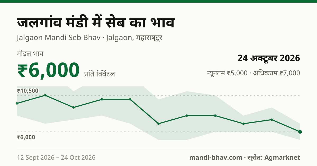 जलगांव मंडी में सेब का भाव 24 अक्टूबर 2026: मोडल ₹6,000 प्रति क्विंटल, भाव के रुझान का चार्ट