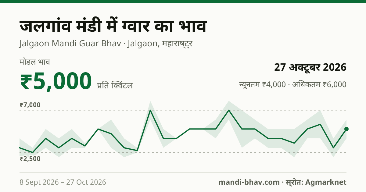 जलगांव मंडी में ग्वार का भाव 27 अक्टूबर 2026: मोडल ₹5,000 प्रति क्विंटल, भाव के रुझान का चार्ट