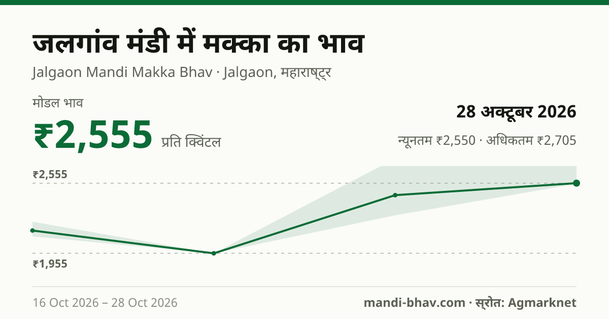 जलगांव मंडी में मक्का का भाव 28 अक्टूबर 2026: मोडल ₹2,555 प्रति क्विंटल, भाव के रुझान का चार्ट