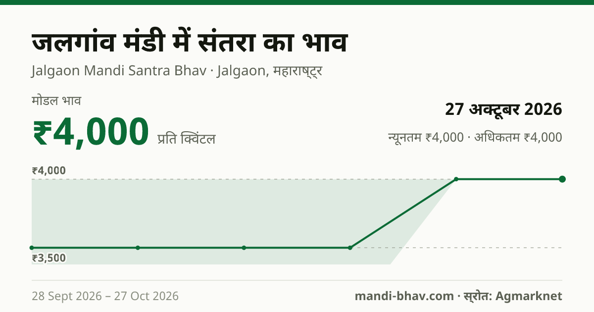 जलगांव मंडी में संतरा का भाव 27 अक्टूबर 2026: मोडल ₹4,000 प्रति क्विंटल, भाव के रुझान का चार्ट