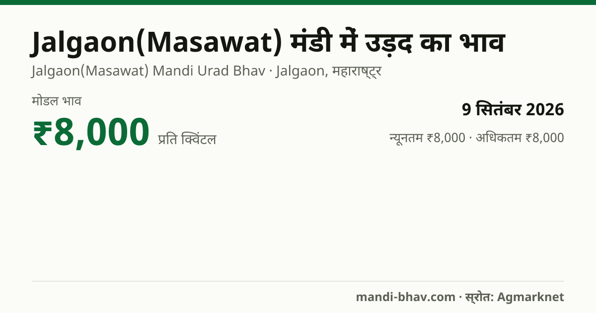 Jalgaon(Masawat) मंडी में उड़द का भाव 9 सितंबर 2026: मोडल ₹8,000 प्रति क्विंटल, भाव के रुझान का चार्ट