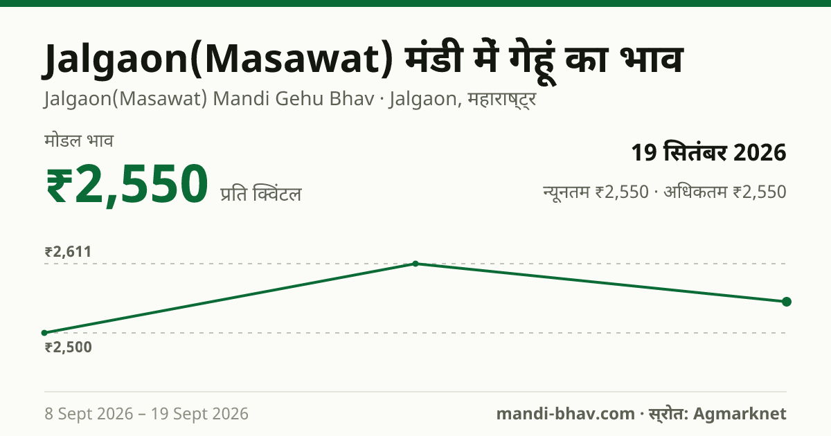 Jalgaon(Masawat) मंडी में गेहूं का भाव 19 सितंबर 2026: मोडल ₹2,550 प्रति क्विंटल, भाव के रुझान का चार्ट
