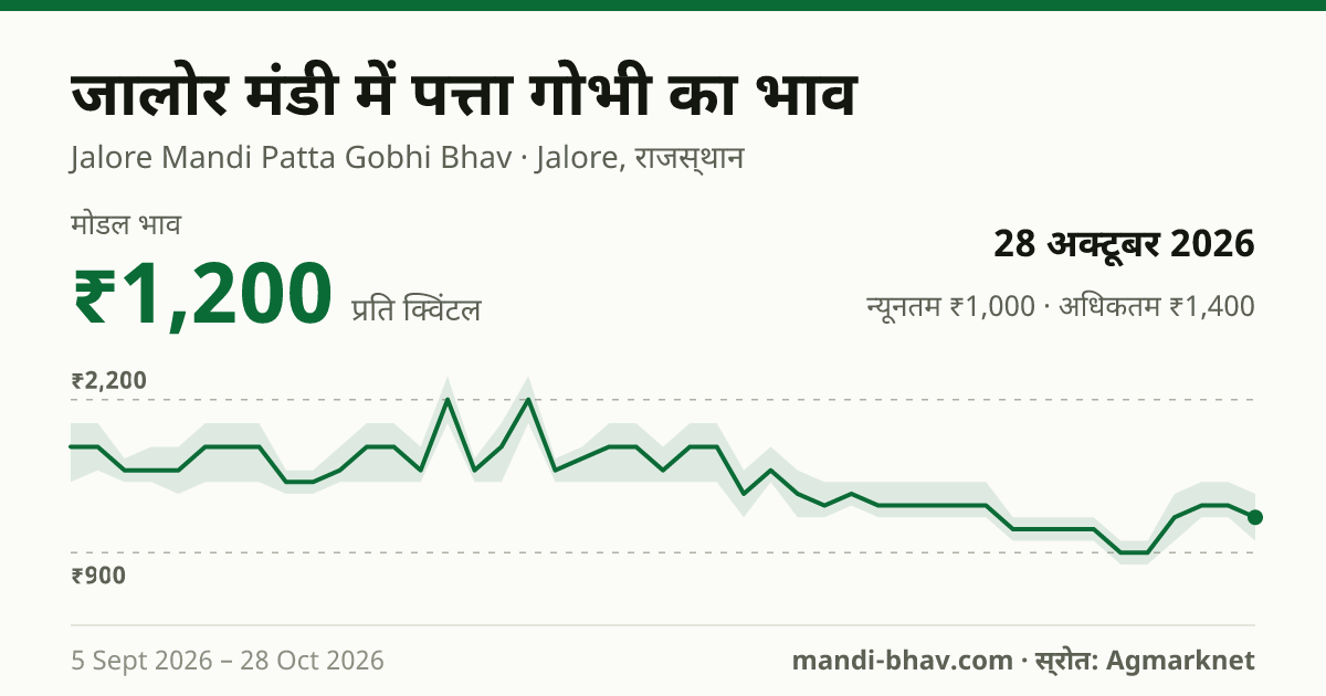 जालोर मंडी में पत्ता गोभी का भाव 28 अक्टूबर 2026: मोडल ₹1,200 प्रति क्विंटल, भाव के रुझान का चार्ट