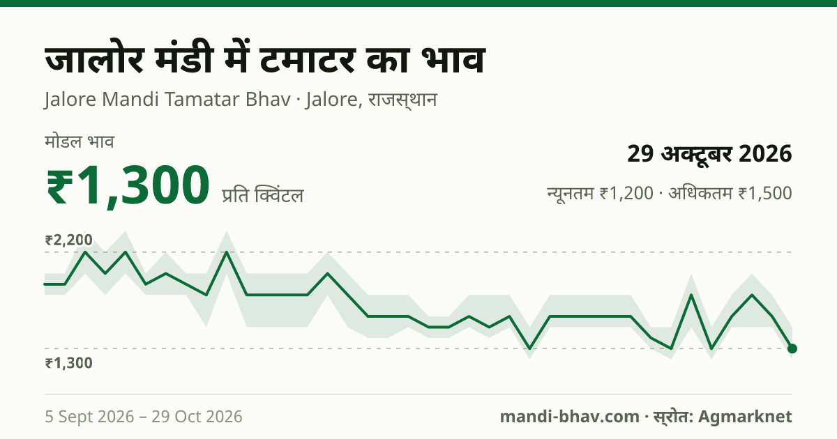 जालोर मंडी में टमाटर का भाव 29 अक्टूबर 2026: मोडल ₹1,300 प्रति क्विंटल, भाव के रुझान का चार्ट