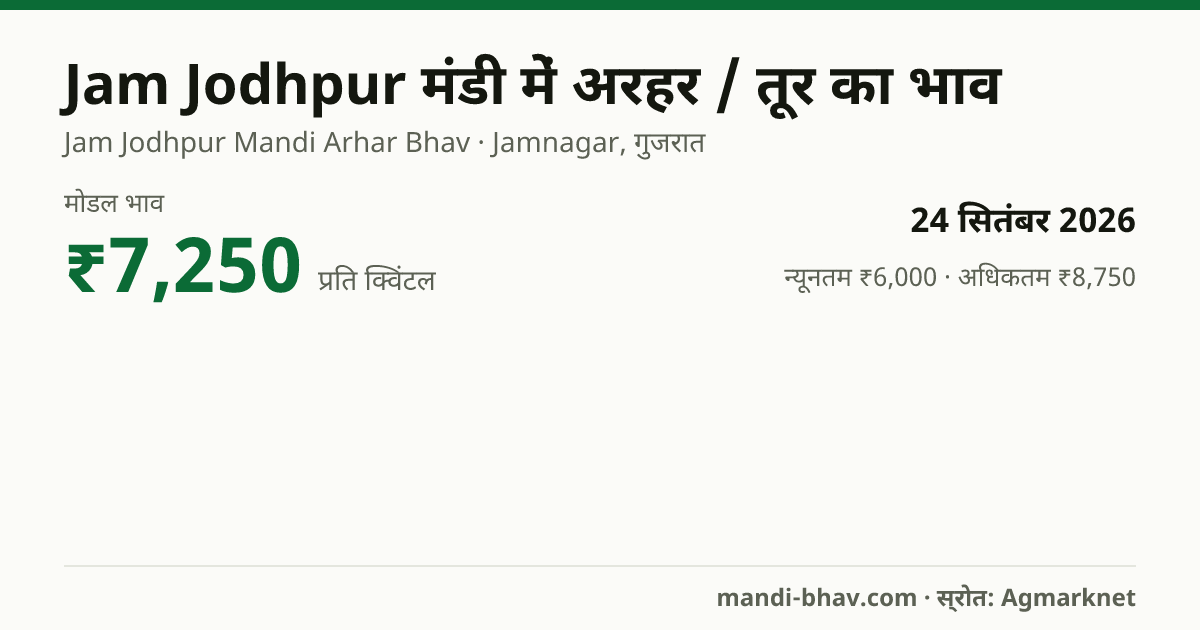 Jam Jodhpur मंडी में अरहर / तूर का भाव 24 सितंबर 2026: मोडल ₹7,250 प्रति क्विंटल, भाव के रुझान का चार्ट