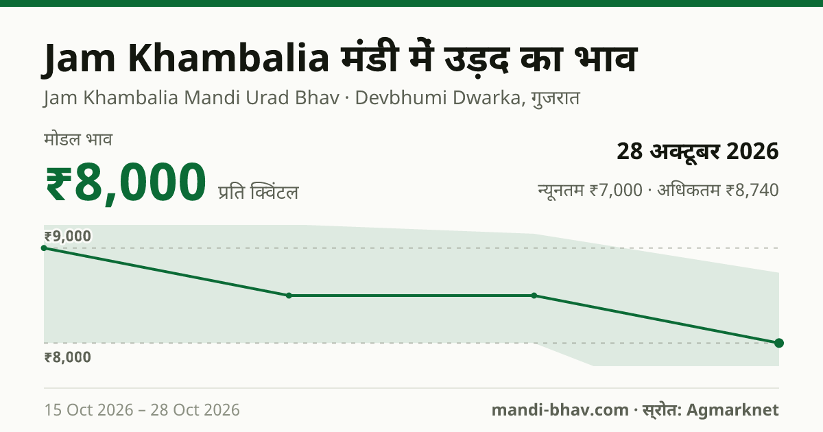Jam Khambalia मंडी में उड़द का भाव 28 अक्टूबर 2026: मोडल ₹8,000 प्रति क्विंटल, भाव के रुझान का चार्ट
