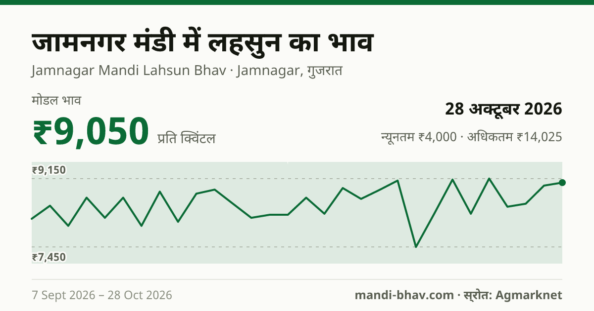 जामनगर मंडी में लहसुन का भाव 28 अक्टूबर 2026: मोडल ₹9,050 प्रति क्विंटल, भाव के रुझान का चार्ट
