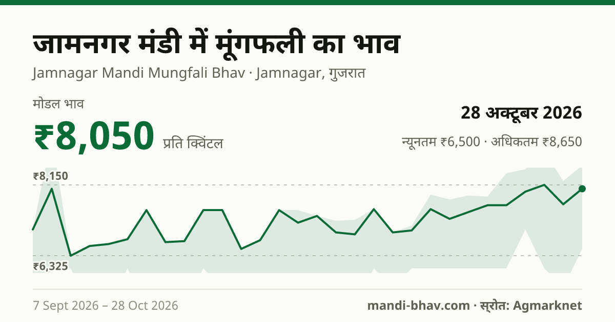 जामनगर मंडी में मूंगफली का भाव 28 अक्टूबर 2026: मोडल ₹8,050 प्रति क्विंटल, भाव के रुझान का चार्ट
