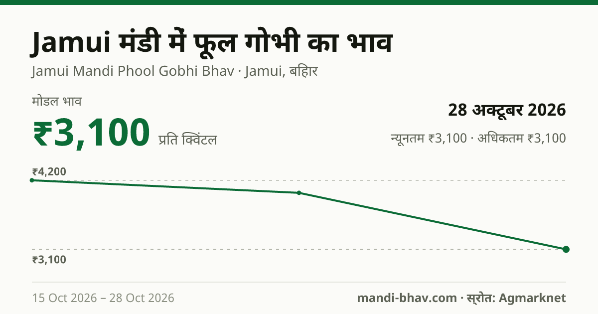 Jamui मंडी में फूल गोभी का भाव 28 अक्टूबर 2026: मोडल ₹3,100 प्रति क्विंटल, भाव के रुझान का चार्ट