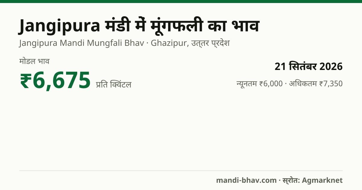 Jangipura मंडी में मूंगफली का भाव 21 सितंबर 2026: मोडल ₹6,675 प्रति क्विंटल, भाव के रुझान का चार्ट