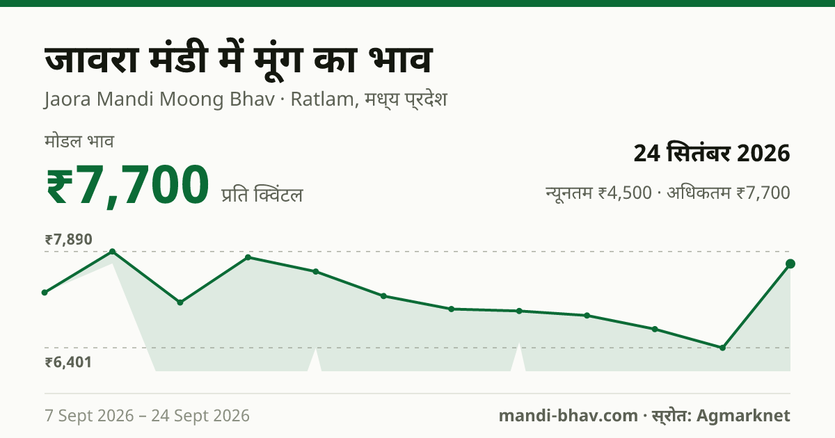 जावरा मंडी में मूंग का भाव 24 सितंबर 2026: मोडल ₹7,700 प्रति क्विंटल, भाव के रुझान का चार्ट