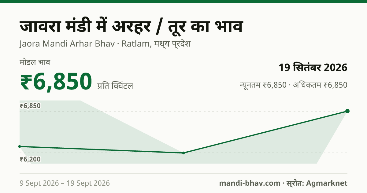 जावरा मंडी में अरहर / तूर का भाव 19 सितंबर 2026: मोडल ₹6,850 प्रति क्विंटल, भाव के रुझान का चार्ट