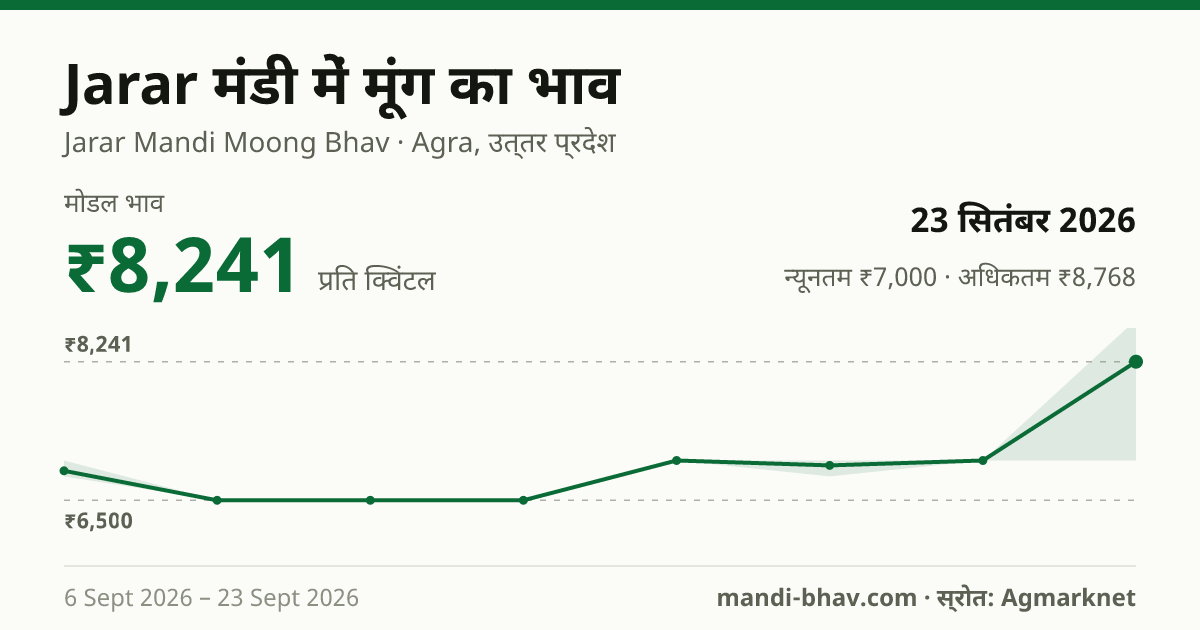 Jarar मंडी में मूंग का भाव 23 सितंबर 2026: मोडल ₹8,241 प्रति क्विंटल, भाव के रुझान का चार्ट