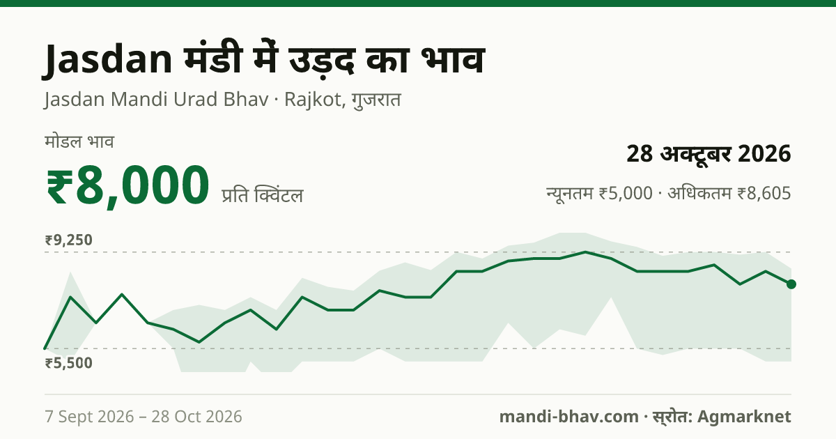 Jasdan मंडी में उड़द का भाव 28 अक्टूबर 2026: मोडल ₹8,000 प्रति क्विंटल, भाव के रुझान का चार्ट