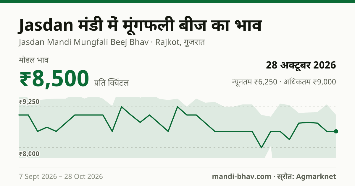 Jasdan मंडी में मूंगफली बीज का भाव 28 अक्टूबर 2026: मोडल ₹8,500 प्रति क्विंटल, भाव के रुझान का चार्ट