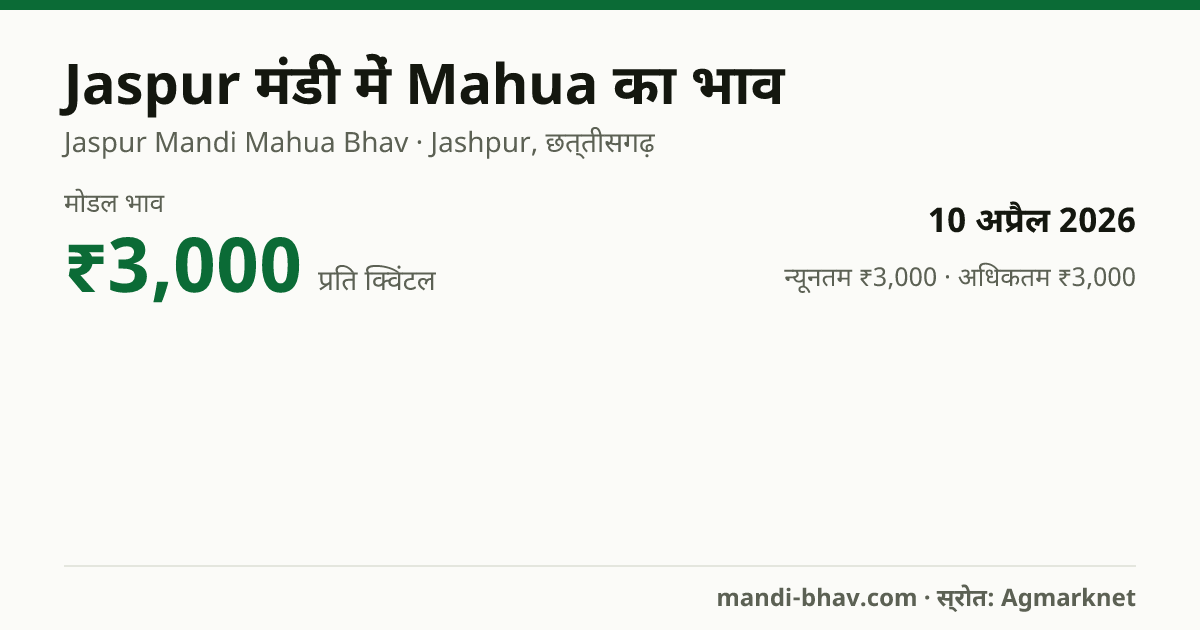 Jaspur मंडी में Mahua का भाव 10 अप्रैल 2026: मोडल ₹3,000 प्रति क्विंटल, भाव के रुझान का चार्ट