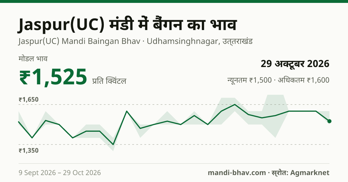 Jaspur(UC) मंडी में बैंगन का भाव 29 अक्टूबर 2026: मोडल ₹1,525 प्रति क्विंटल, भाव के रुझान का चार्ट
