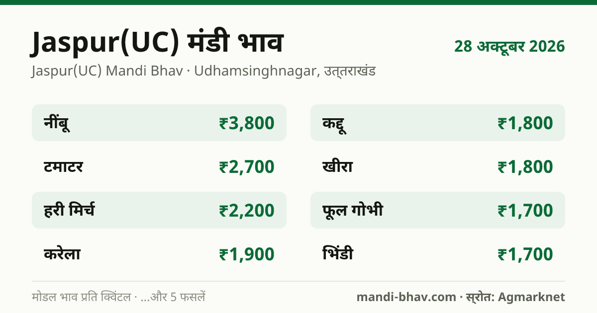 Jaspur(UC) मंडी भाव 28 अक्टूबर 2026: फसलवार मोडल रेट प्रति क्विंटल