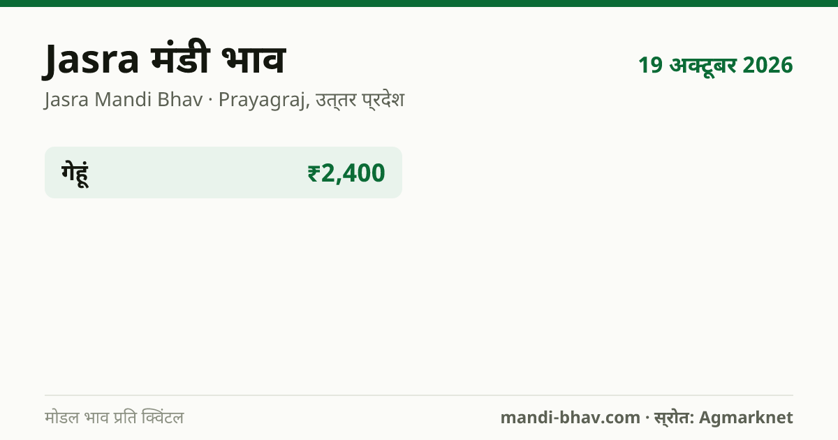 Jasra मंडी भाव 19 अक्टूबर 2026: फसलवार मोडल रेट प्रति क्विंटल