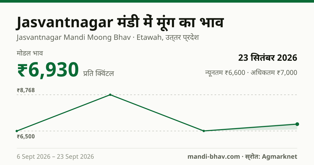 Jasvantnagar मंडी में मूंग का भाव 23 सितंबर 2026: मोडल ₹6,930 प्रति क्विंटल, भाव के रुझान का चार्ट