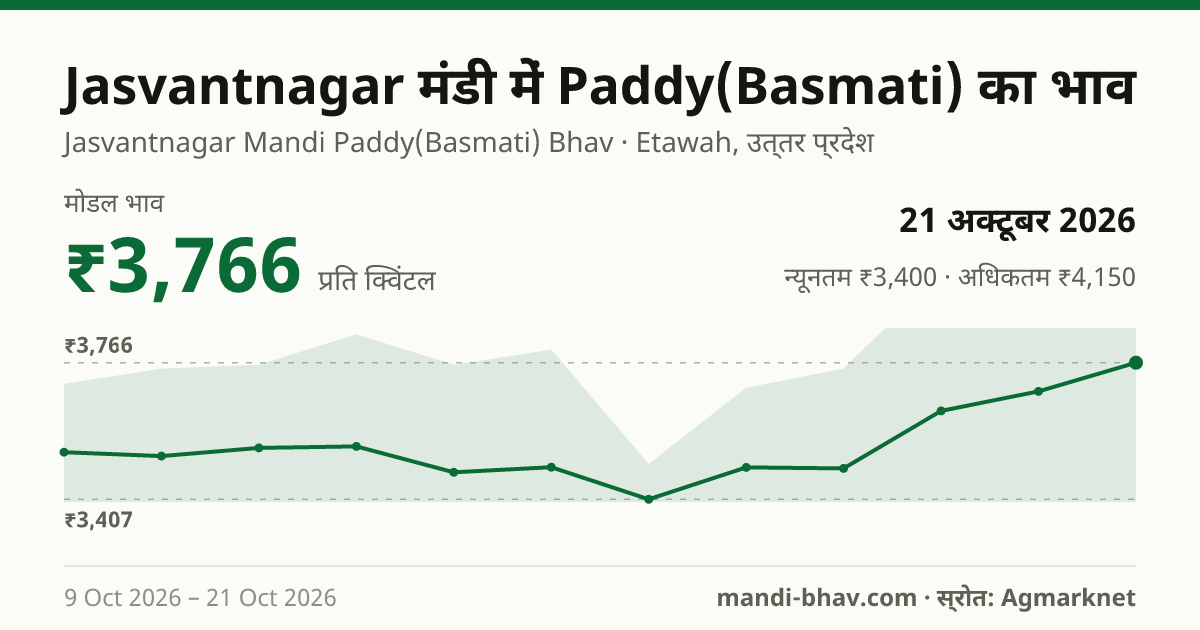 Jasvantnagar मंडी में Paddy(Basmati) का भाव 21 अक्टूबर 2026: मोडल ₹3,766 प्रति क्विंटल, भाव के रुझान का चार्ट