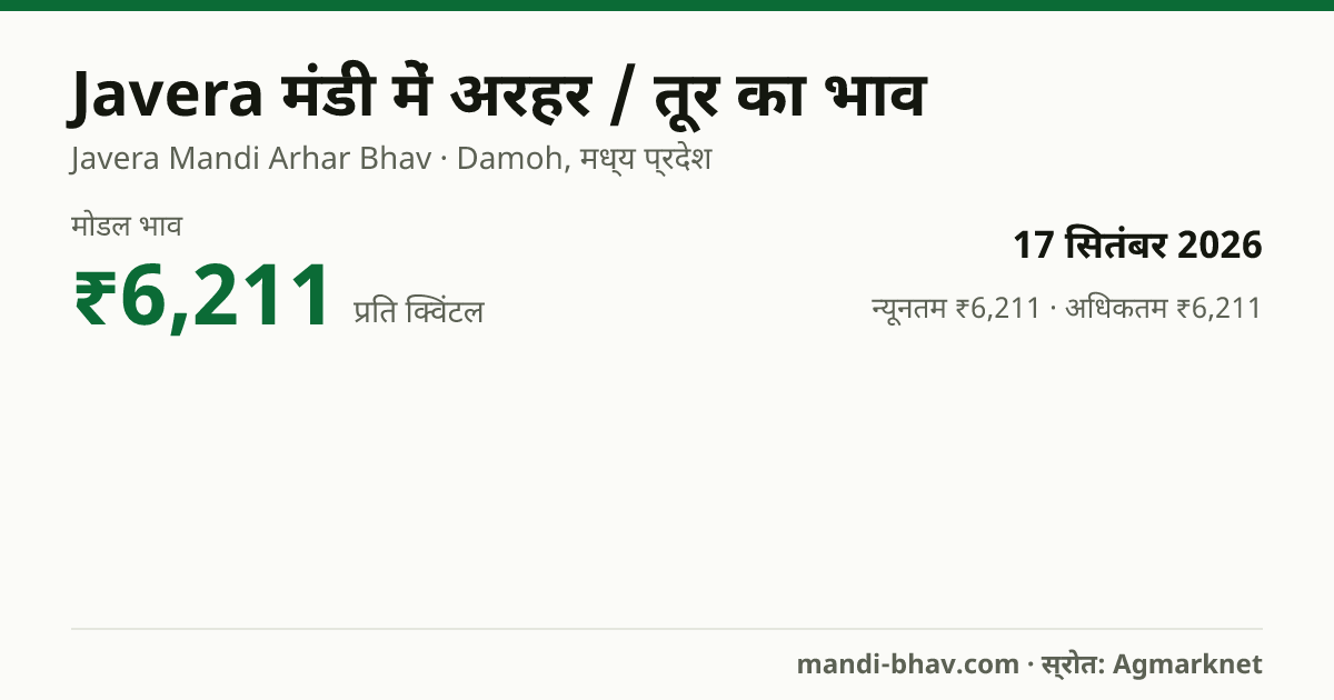 Javera मंडी में अरहर / तूर का भाव 17 सितंबर 2026: मोडल ₹6,211 प्रति क्विंटल, भाव के रुझान का चार्ट