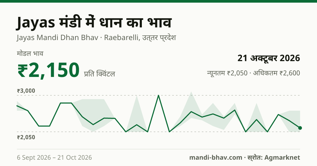 Jayas मंडी में धान का भाव 21 अक्टूबर 2026: मोडल ₹2,150 प्रति क्विंटल, भाव के रुझान का चार्ट