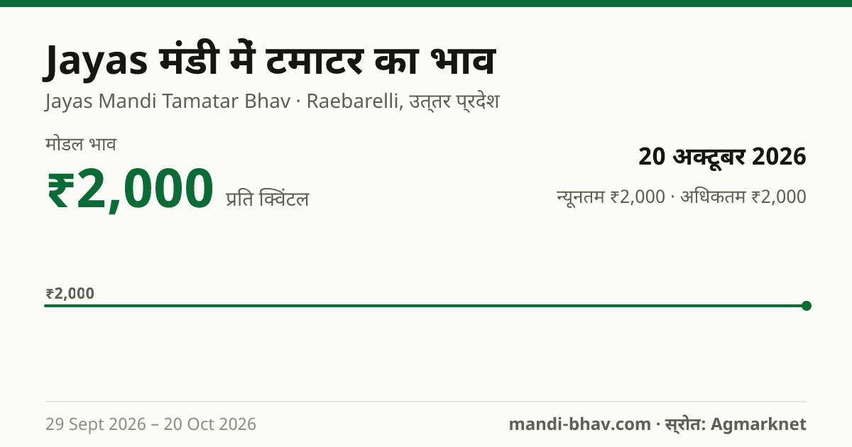 Jayas मंडी में टमाटर का भाव 20 अक्टूबर 2026: मोडल ₹2,000 प्रति क्विंटल, भाव के रुझान का चार्ट