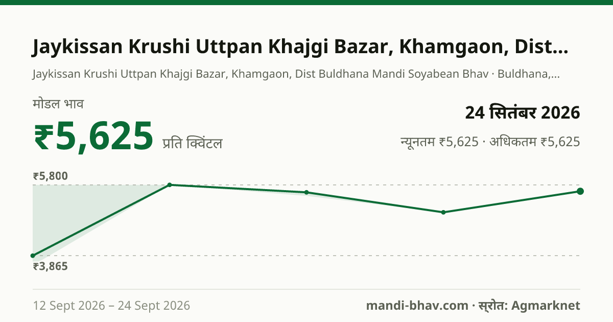 Jaykissan Krushi Uttpan Khajgi Bazar, Khamgaon, Dist Buldhana मंडी में सोयाबीन का भाव 24 सितंबर 2026: मोडल ₹5,625 प्रति क्विंटल, भाव के रुझान का चार्ट