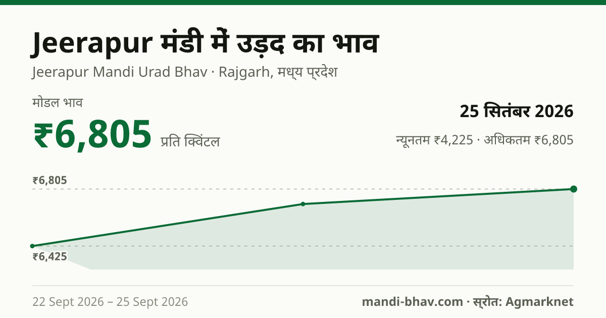 Jeerapur मंडी में उड़द का भाव 25 सितंबर 2026: मोडल ₹6,805 प्रति क्विंटल, भाव के रुझान का चार्ट