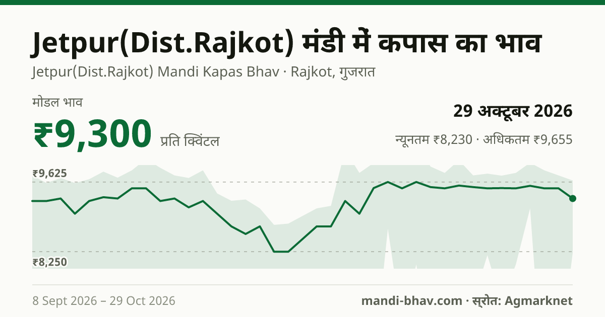Jetpur(Dist.Rajkot) मंडी में कपास का भाव 29 अक्टूबर 2026: मोडल ₹9,300 प्रति क्विंटल, भाव के रुझान का चार्ट