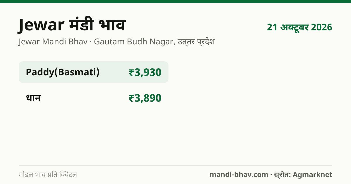 Jewar मंडी भाव 21 अक्टूबर 2026: फसलवार मोडल रेट प्रति क्विंटल