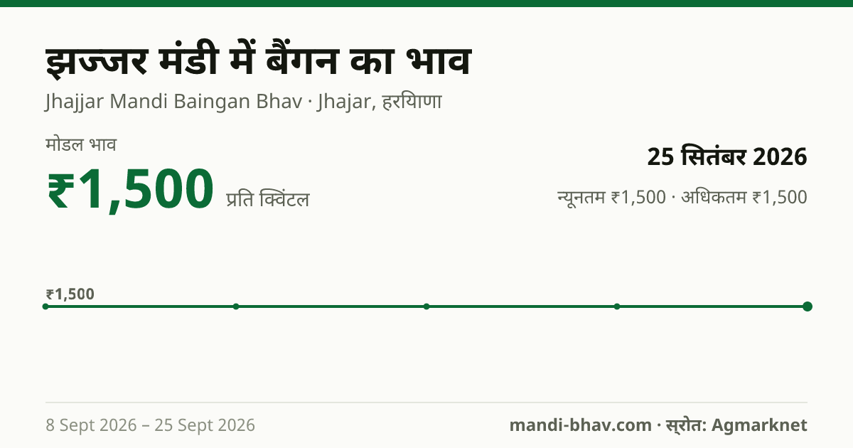 झज्जर मंडी में बैंगन का भाव 25 सितंबर 2026: मोडल ₹1,500 प्रति क्विंटल, भाव के रुझान का चार्ट