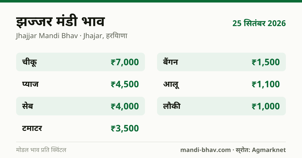 झज्जर मंडी भाव 25 सितंबर 2026: फसलवार मोडल रेट प्रति क्विंटल