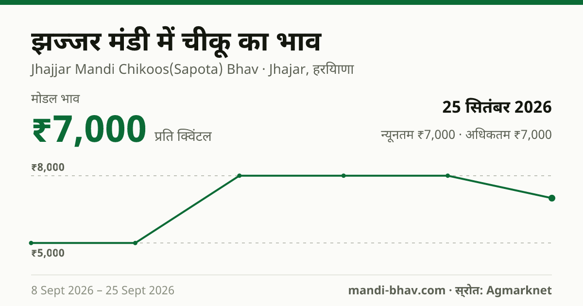 झज्जर मंडी में चीकू का भाव 25 सितंबर 2026: मोडल ₹7,000 प्रति क्विंटल, भाव के रुझान का चार्ट