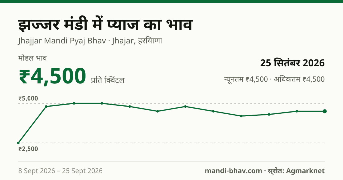 झज्जर मंडी में प्याज का भाव 25 सितंबर 2026: मोडल ₹4,500 प्रति क्विंटल, भाव के रुझान का चार्ट