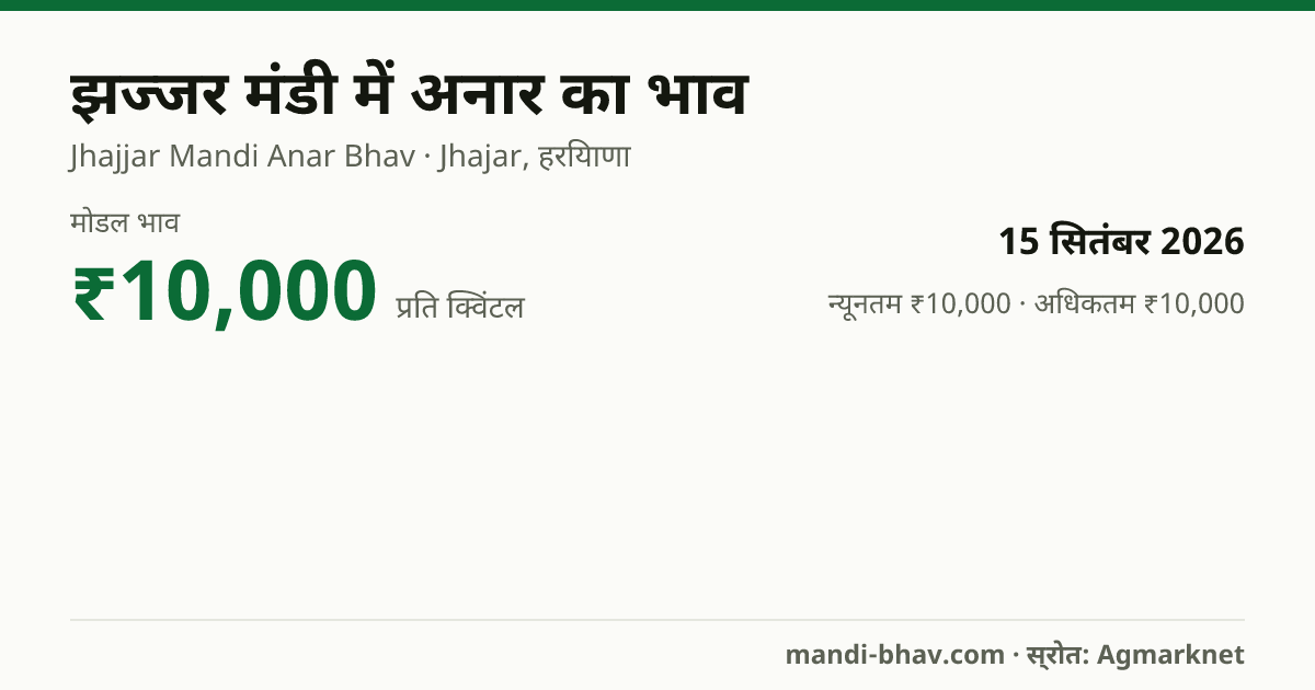 झज्जर मंडी में अनार का भाव 15 सितंबर 2026: मोडल ₹10,000 प्रति क्विंटल, भाव के रुझान का चार्ट