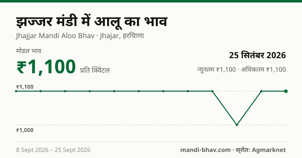 झज्जर मंडी में आलू का भाव 25 सितंबर 2026: मोडल ₹1,100 प्रति क्विंटल, भाव के रुझान का चार्ट