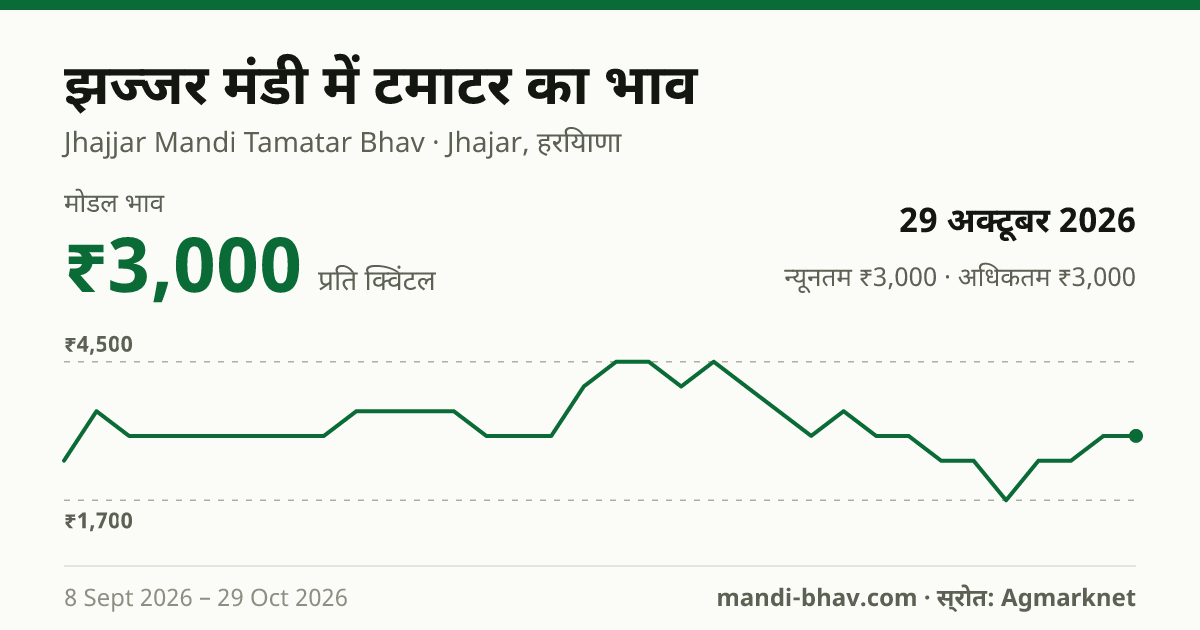 झज्जर मंडी में टमाटर का भाव 29 अक्टूबर 2026: मोडल ₹3,000 प्रति क्विंटल, भाव के रुझान का चार्ट