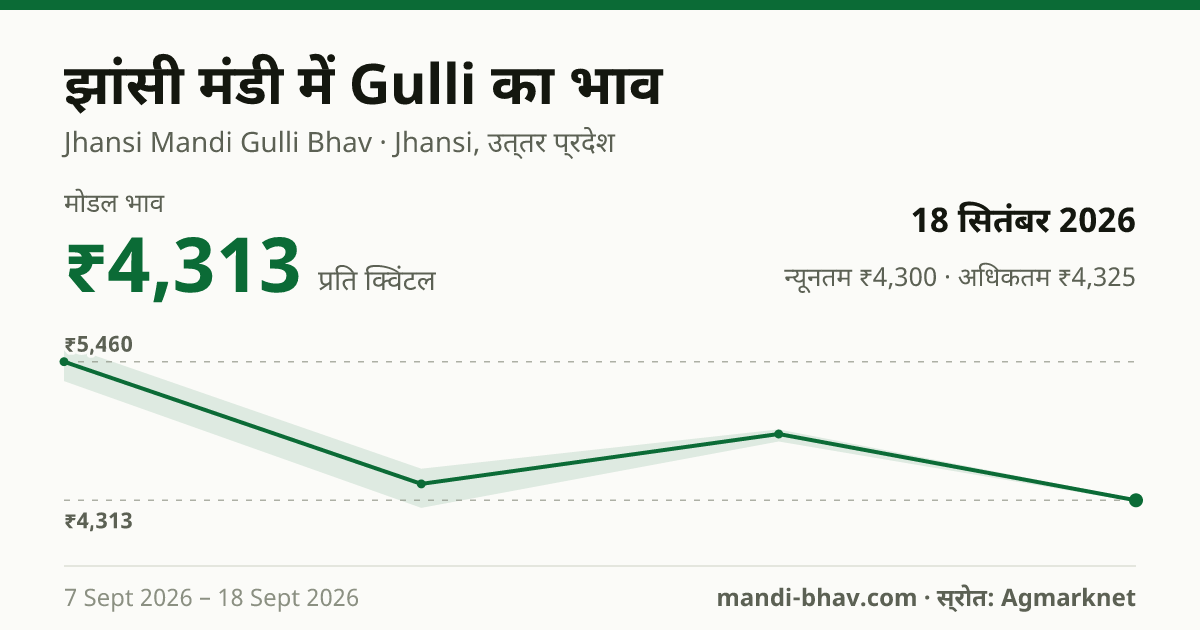झांसी मंडी में Gulli का भाव 18 सितंबर 2026: मोडल ₹4,313 प्रति क्विंटल, भाव के रुझान का चार्ट