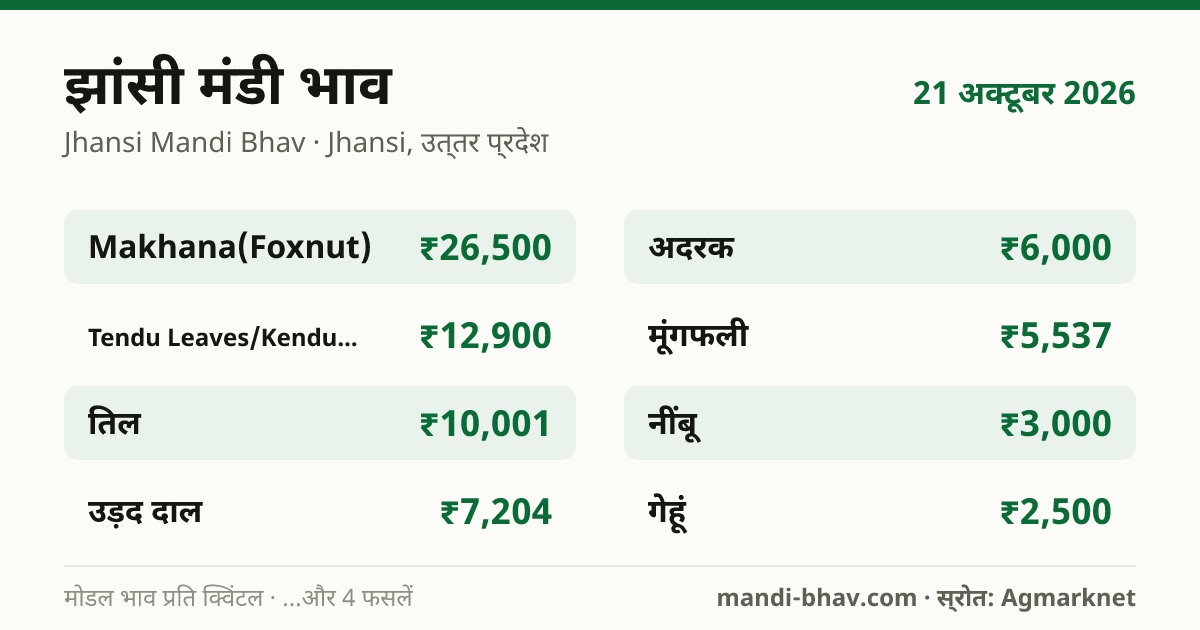 झांसी मंडी भाव 21 अक्टूबर 2026: फसलवार मोडल रेट प्रति क्विंटल