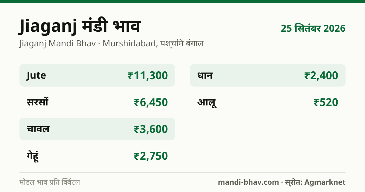 Jiaganj मंडी भाव 25 सितंबर 2026: फसलवार मोडल रेट प्रति क्विंटल