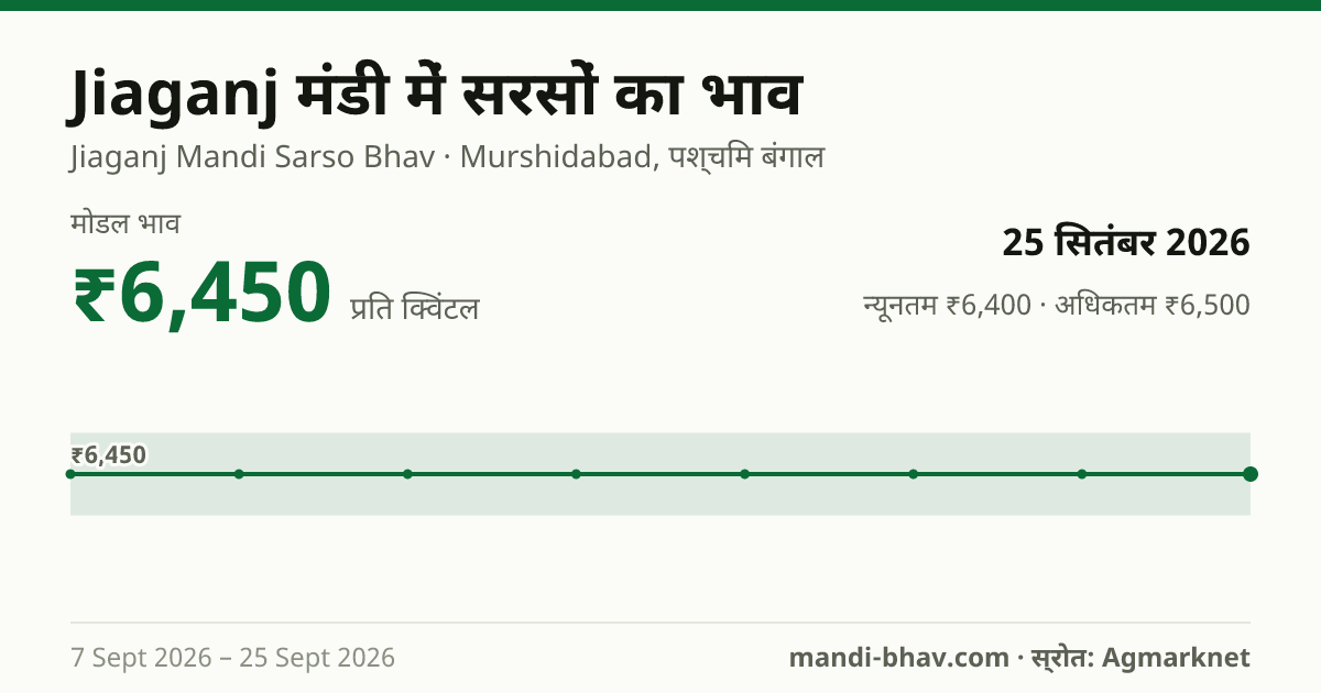 Jiaganj मंडी में सरसों का भाव 25 सितंबर 2026: मोडल ₹6,450 प्रति क्विंटल, भाव के रुझान का चार्ट