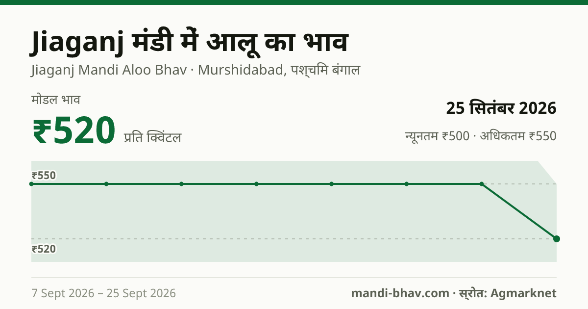 Jiaganj मंडी में आलू का भाव 25 सितंबर 2026: मोडल ₹520 प्रति क्विंटल, भाव के रुझान का चार्ट
