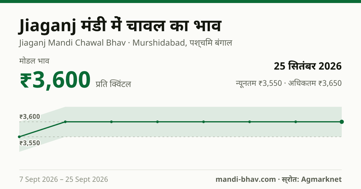 Jiaganj मंडी में चावल का भाव 25 सितंबर 2026: मोडल ₹3,600 प्रति क्विंटल, भाव के रुझान का चार्ट